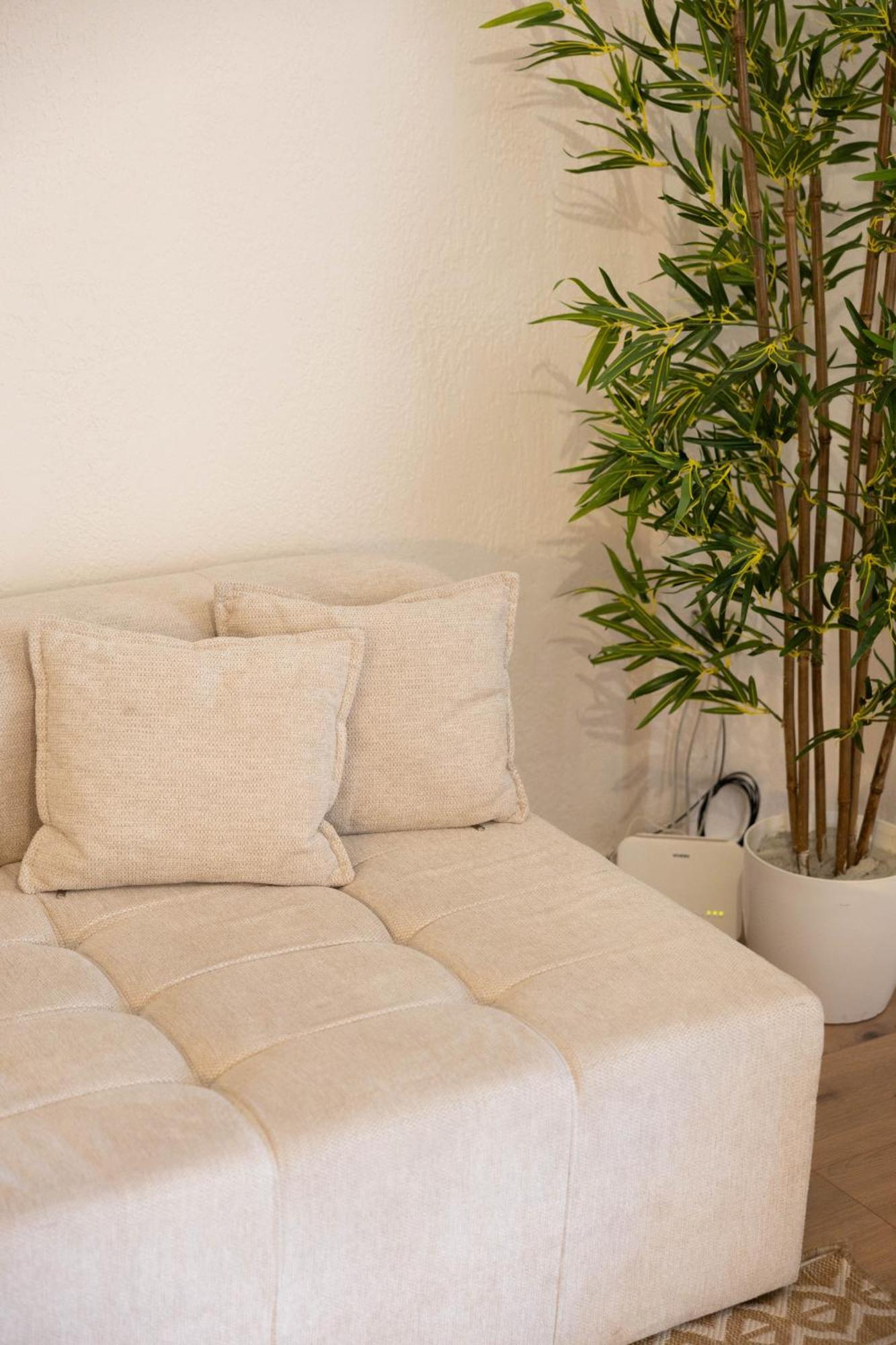Boho Bed & Breakfast